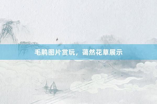 毛鹃图片赏玩，蔼然花草展示